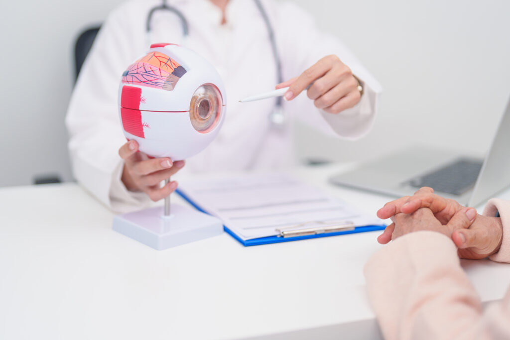 Elderly Patient consulting Doctor to Eye disease, Senior Medical Diagnosis. Anatomy Eye model for Cataract, Glaucoma, Age Related Macular Degeneration, Diabetic Retinopathy, Vitreous, health concept